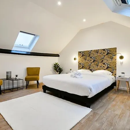 Appartement Ng Prestige - Lille L L Haute - Duplex 4 Pers - Balneo - Netflix - Wifi