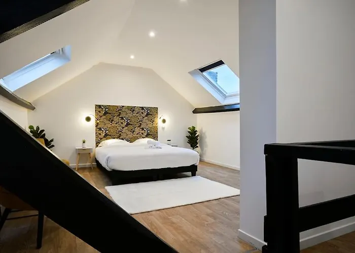 Ng Prestige - Lille L L Haute - Duplex 4 Pers - Balneo - Netflix - Wifi Tourcoing