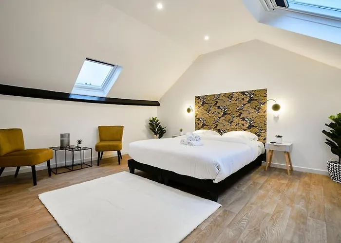Apartment Ng Prestige - Lille L L Haute - Duplex 4 Pers - Balneo - Netflix - Wifi